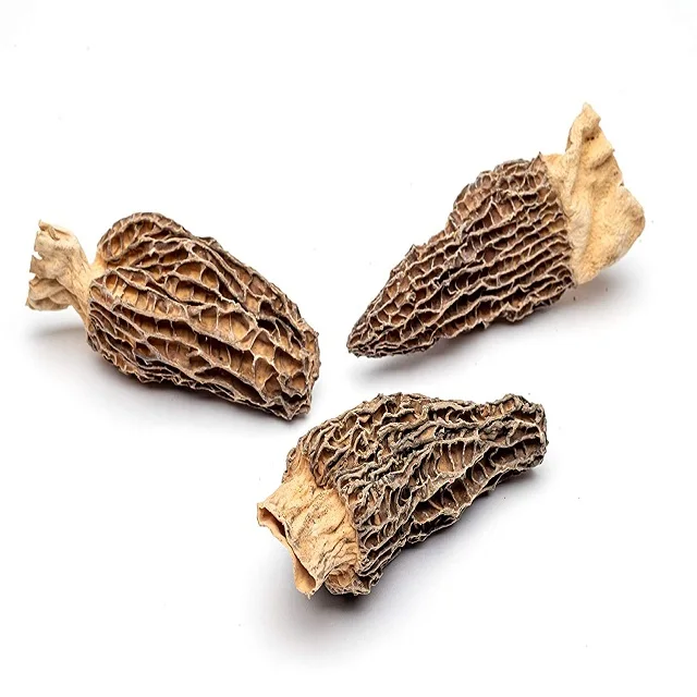 Free Samples Dried Price Morels Dried Mushroom Morel Mushroom