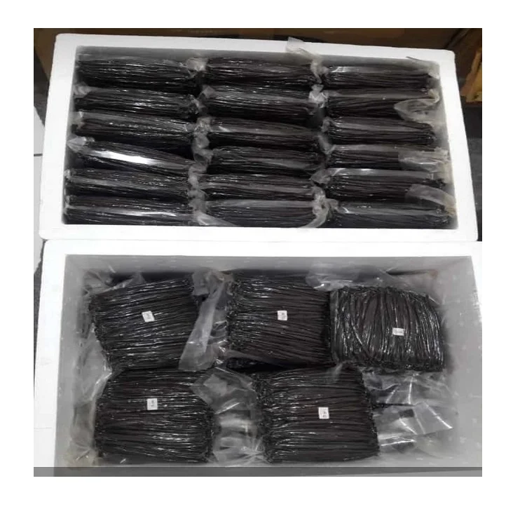 wholesale best Price black Vanilla Beans / Madagascar Vanilla