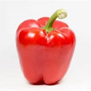 Fresh Natural Pepper/ Red Bell Pepper Manufacturer