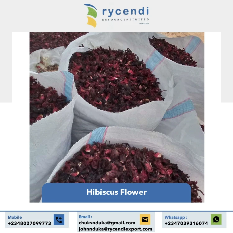 Real Natural Pleasant Taste Calcium Content 100% Clean & Dried Hibiscus Cut Fresh Flower at Wholesale Supply by Supplier
