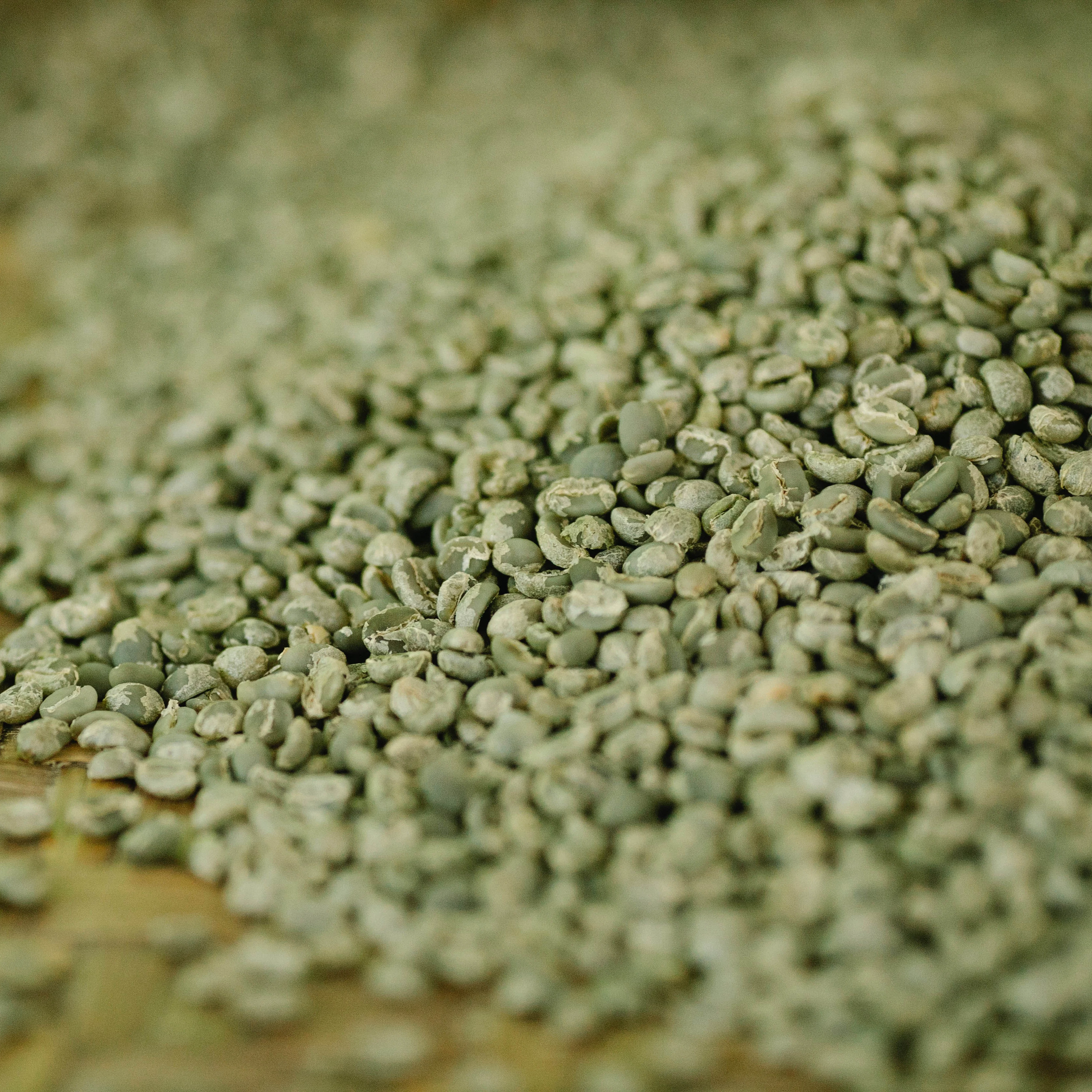 VIETNAM COFFEE BEAN Best Quality Robusta Screen 18 Green COFFEE cheap bulk viet nam robustra coffee b-Vagro Bean Manufacturer