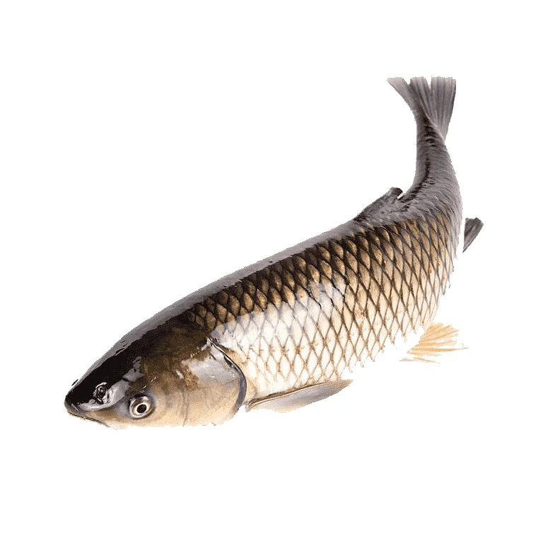 Carbon rod the fishing rod for big fish telescopic carp rod