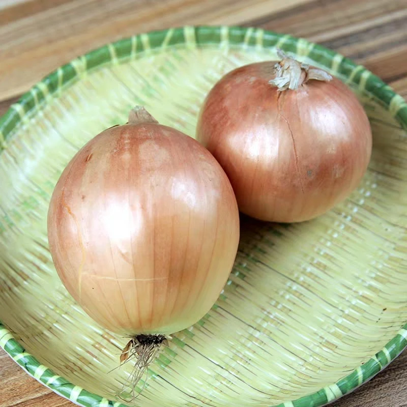 Top Quality Yellow Onion Cheap Yellow Onion