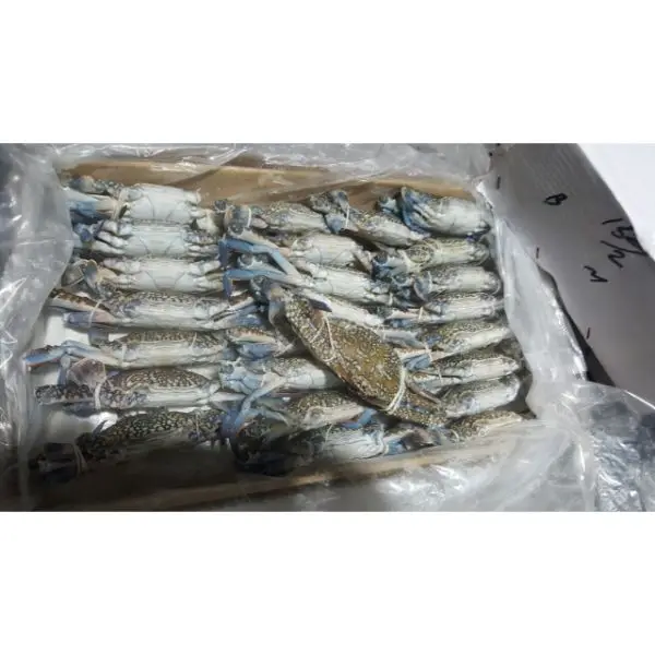 New Stock Ready For Shipment Frozen Blue Swimming Crab & Three Spotted Crab