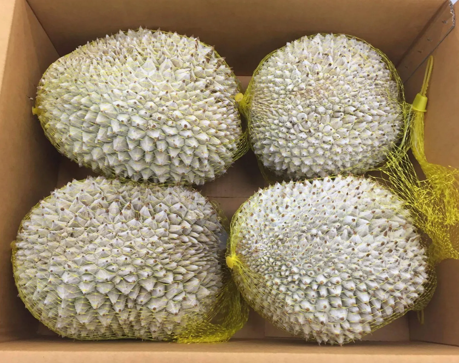 High Quality Delicious Authentic Taste 60g Musang King Durian Freeze Dried Ready to Eat Sweet Top-Notch Flavor Snack for All Age