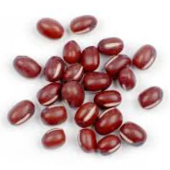 Adzuki beans for sale in bulk quantity