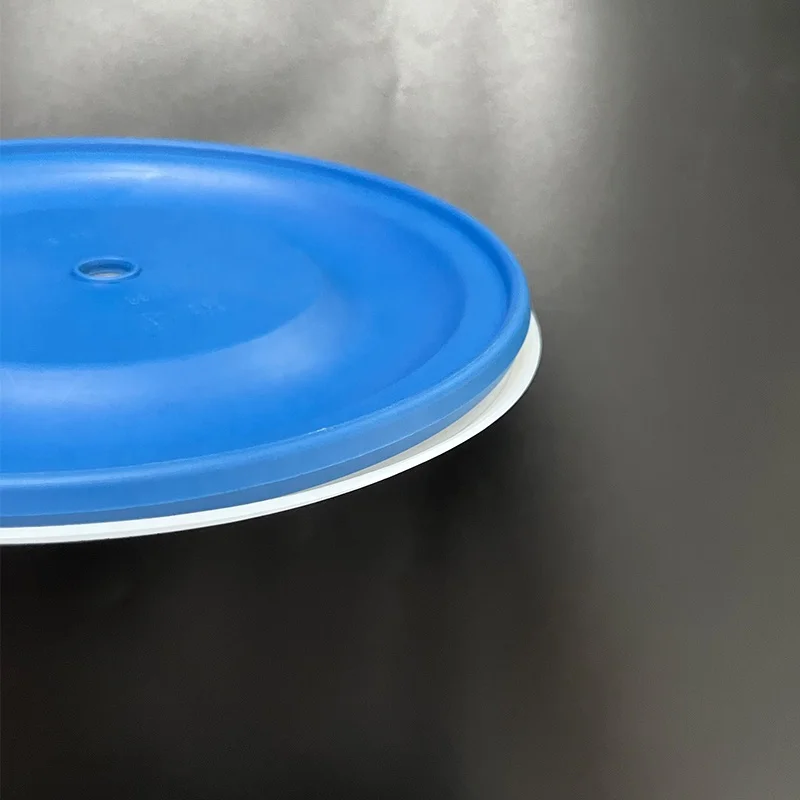 Factory Customized High Quality Regulator valve Pump Spare Parts PTFE Rubber CR White Diaphragm For aodd Pump