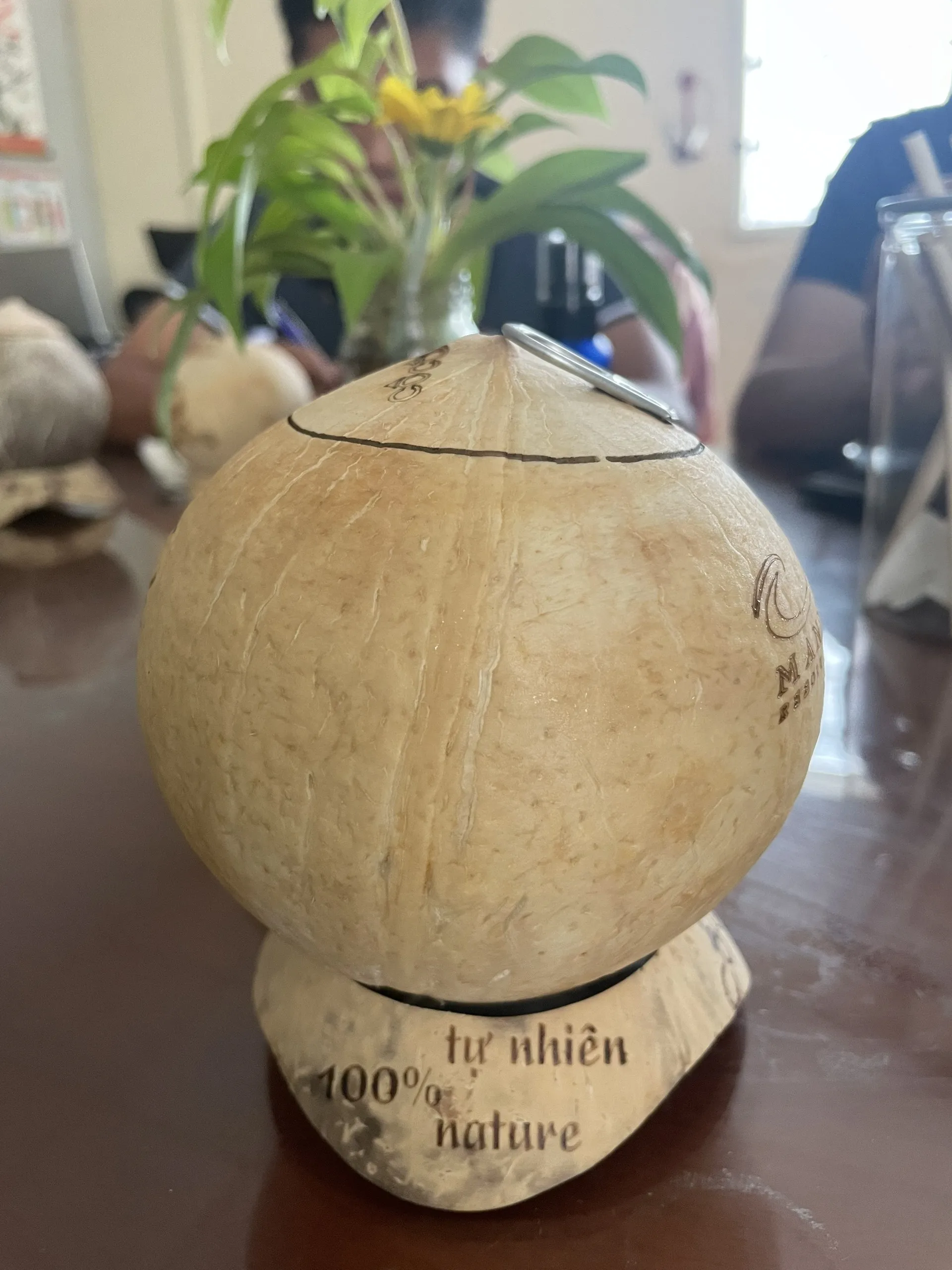 Good price Export Purchase Organic Farm Carton Packaging Polished Shape Coconut Pulp Good price Export Purchase Organic Farm