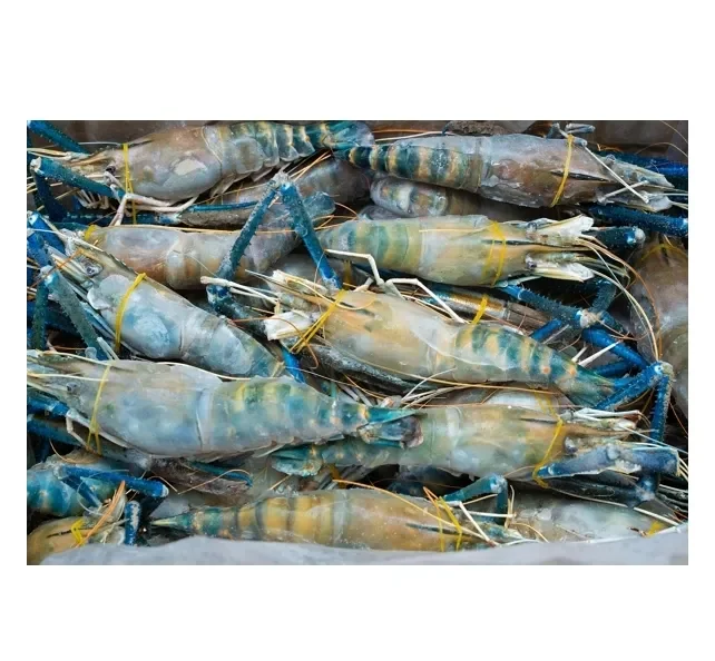 manufacture factory price Frozen Black Tiger Shrimps Raw PD Black Tiger Prawn giant fresh seafood best quality