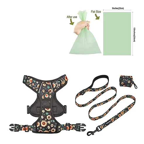 Custom No Pull Dog Harness Set Leash Easy Control Handle Reflective Vest Dogs Harness and Leash Wholesaler Best Price