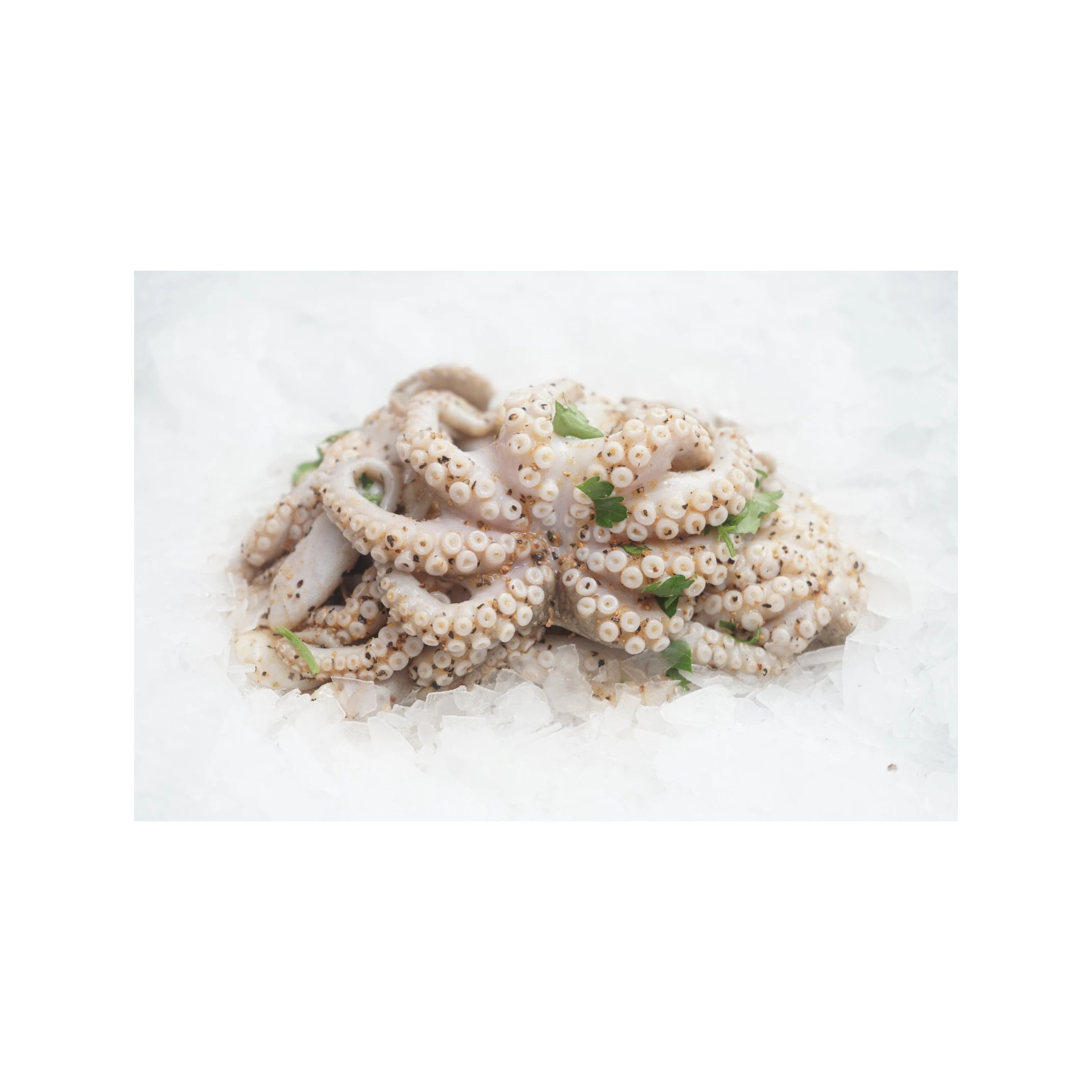 Octopus Wholesale Fishing Japanese Instant Style Frozen Seafood Wholesalers
