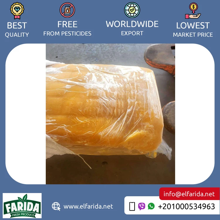 Widely Selling Egypt Origin Export Premium Grade Top Quality Hot Selling Guava Mango Apricot Peach Flavor Concentrate Pulp