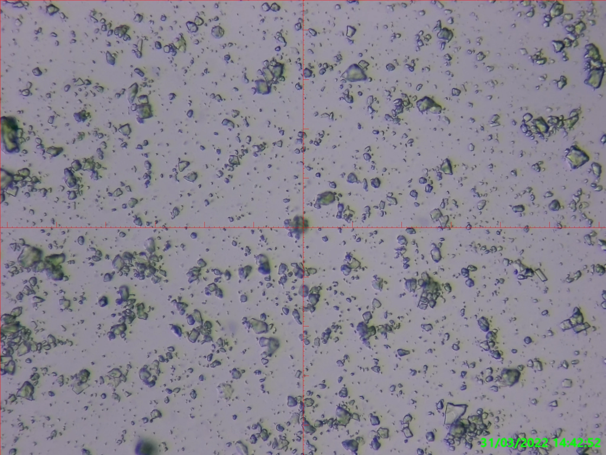 Best Price Biostimulating Fertilizer Plant Fertilizer Urea Corrective Nutrient Maxiplant For Whosale