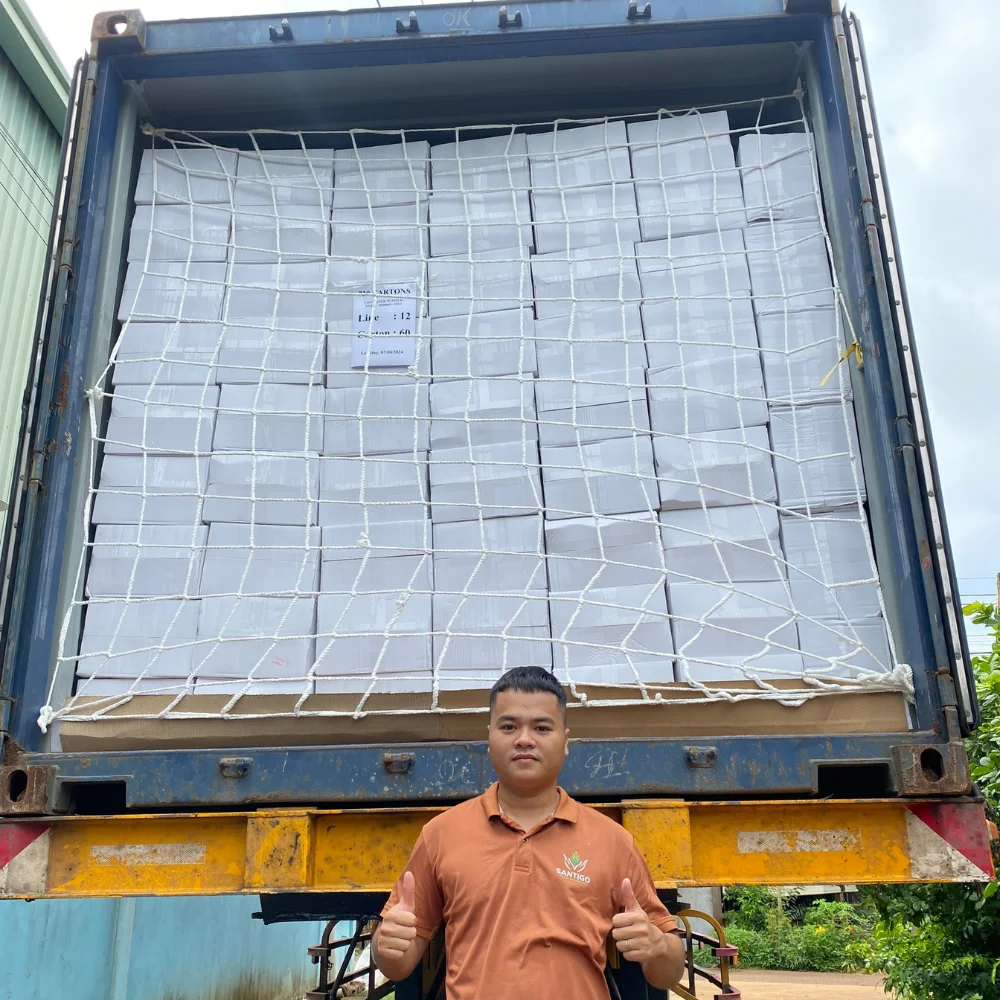 Hot Sale Vietnam Cashew Nut Raw Cashew Nuts Cashew Nuts W320, W240, W180, SK, LP2, LWP Reasonable Price