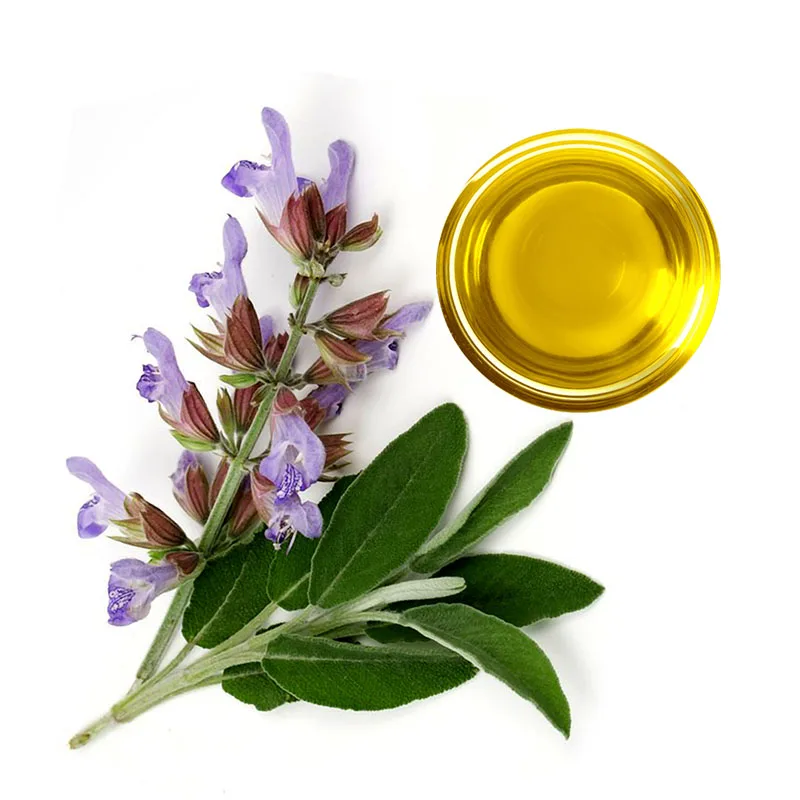 Natural Clary Sage Oil for Cosmetic High Quality Beauty And Personal Care Essential Oil Supply and Export