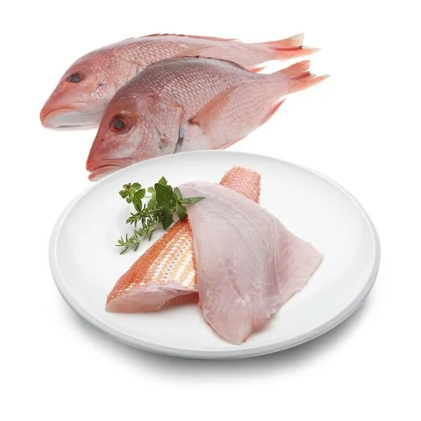 Purchase premium snapper fish at a discount