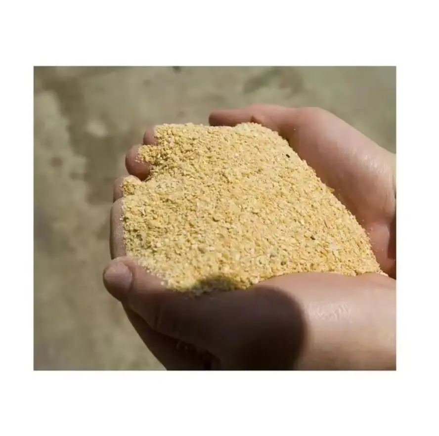 Poultry Equipment automatic pan feeder Broiler Chicken Feeding Line System