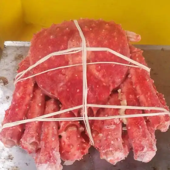 Top Quality Frozen / Live Norwegian king crab