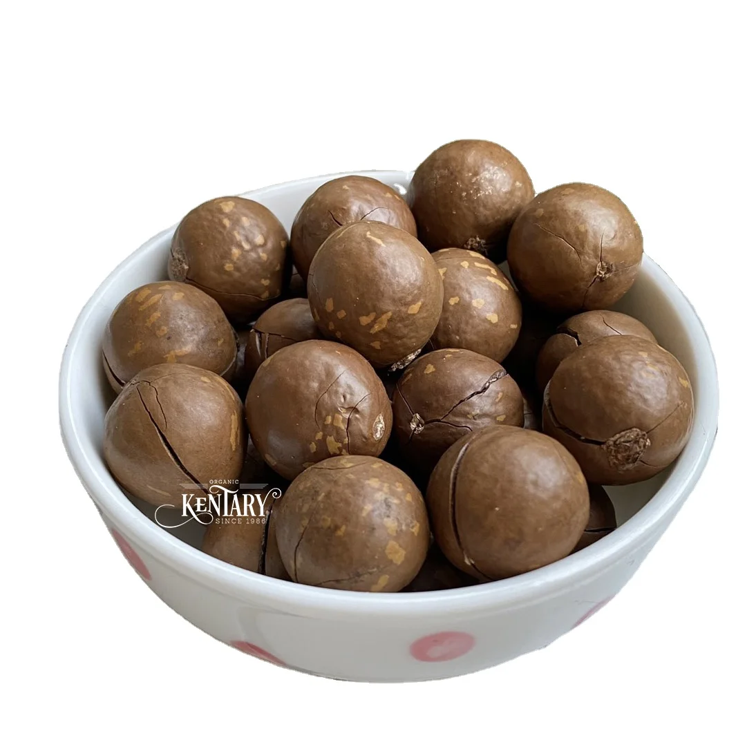 Bulk Macadamia Nut Cracker In Sell Hight Quality Best Price Made in Vietnam 100% Pure non GMO