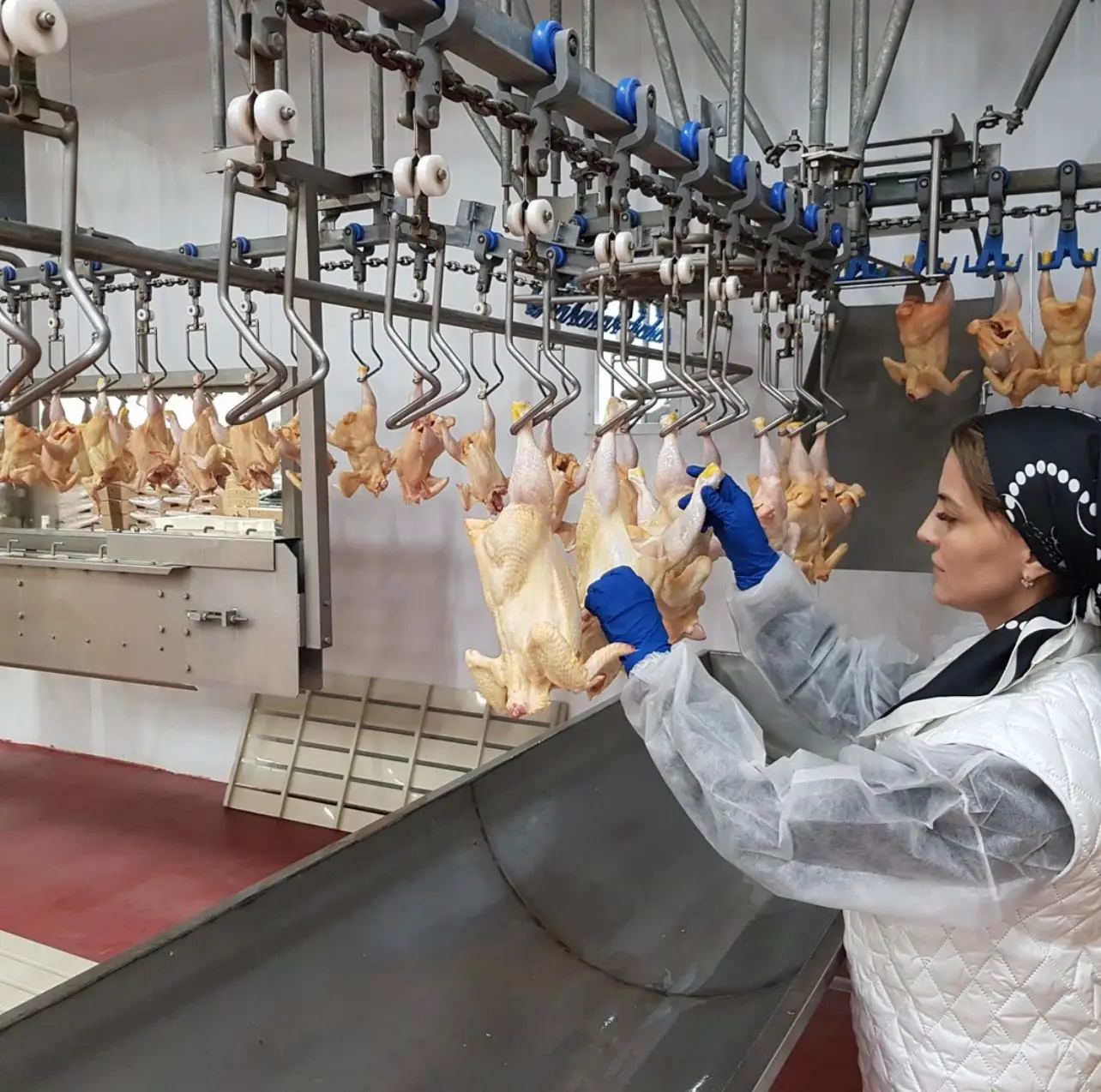 Frozen Skinless Boneless Chicken