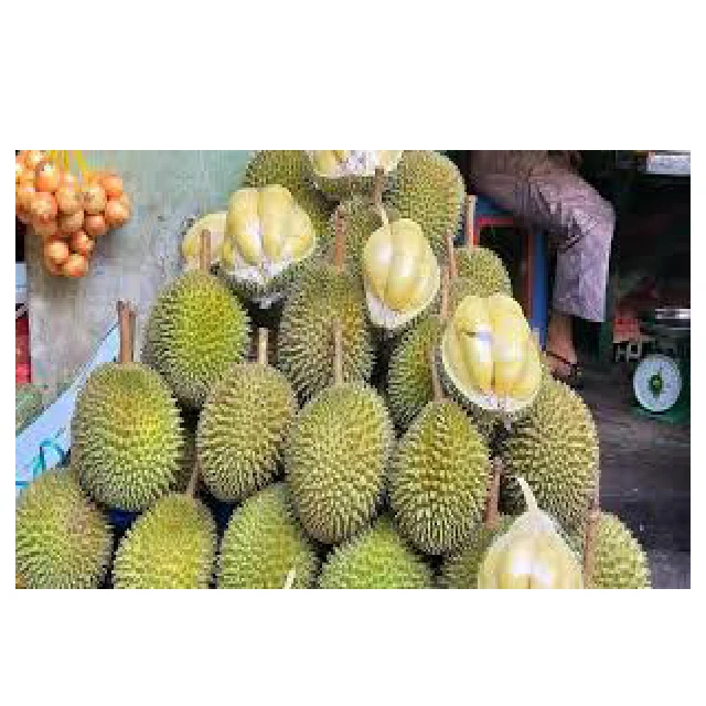 New Crop 2024 Sweet Fresh Durian Fruit Cheap and Delicious
