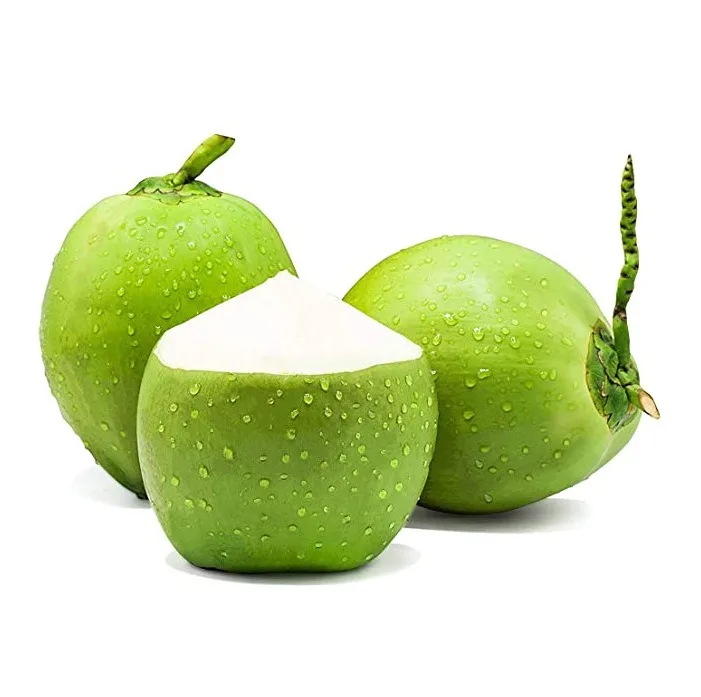 Fresh green young coconut Top quality best price coconut for wholesales made in Vietnam