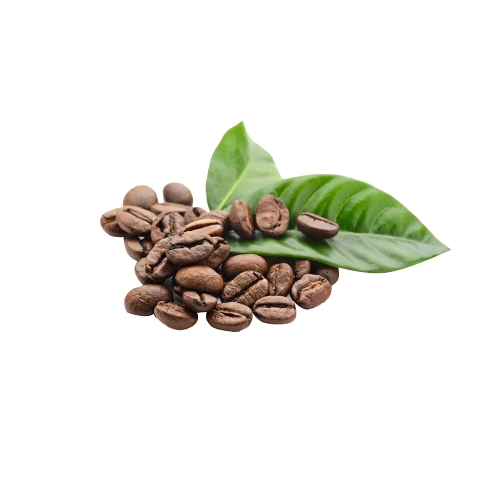 New Crop Coffee Beans Roasted Best Coffee Beans for Sale