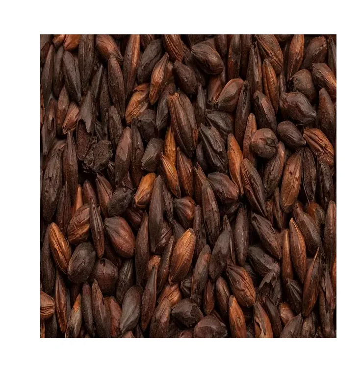 Органический овсяной, ячмень, дерево, зерна пшеничной травы-соковыжималка для кошачьей травы