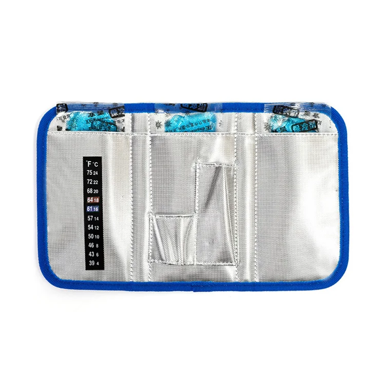 New Outdoor Eva Insulin Refrigerated Portable Insulin Medical Cooler Bag Temperature