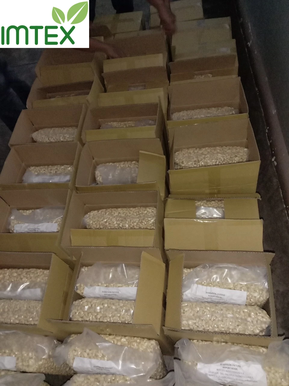 VIETNAM WHOLE CASHEW NUT WW320/ WW240/ WW180  Good Price High Quality For Middle East Market