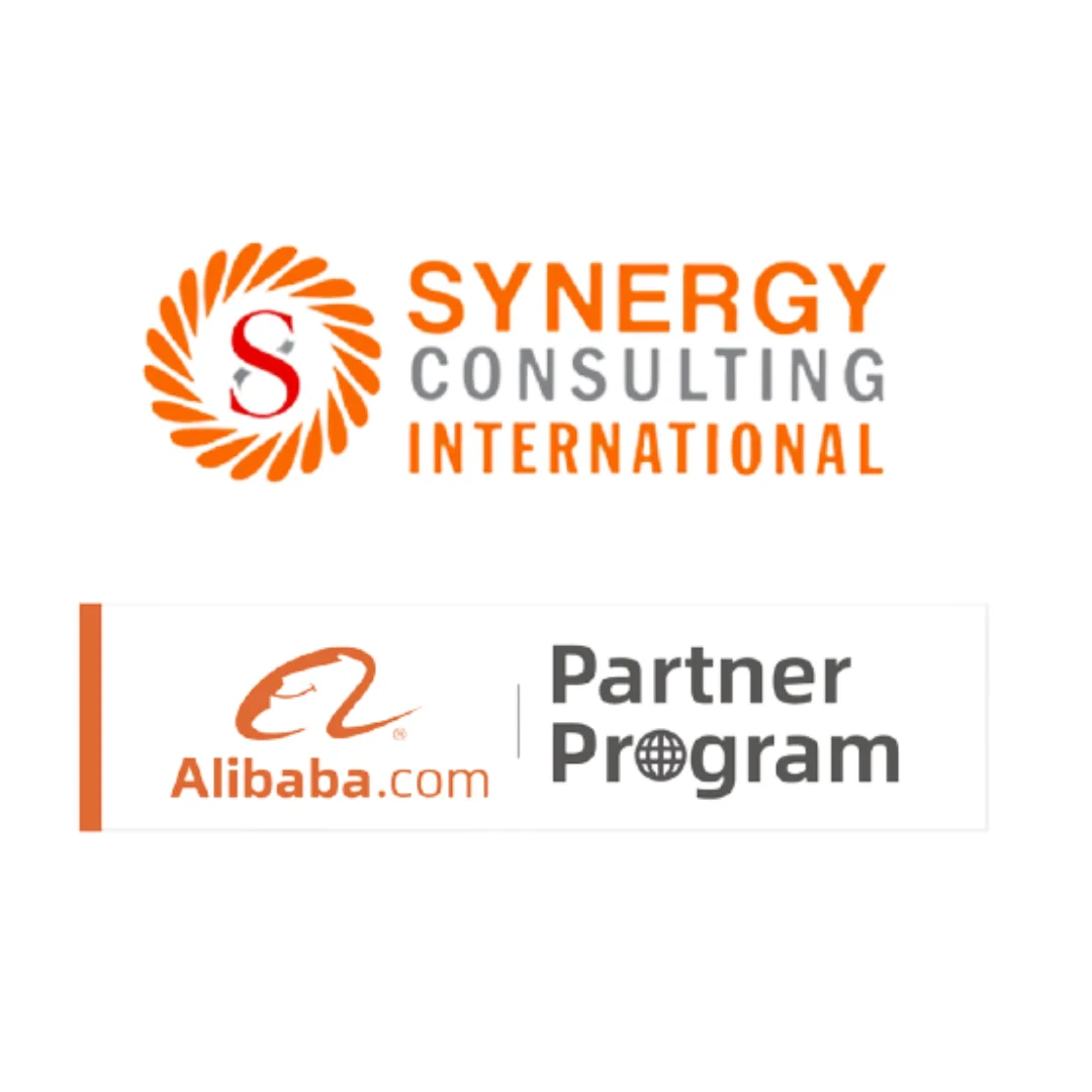US-based Alibaba E-commerce Seller Services Partner Program International Business Consulting