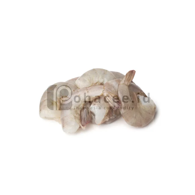 For Sale Premium Quality Fresh Black Tiger Shrimp Indonesia Head On Shell On