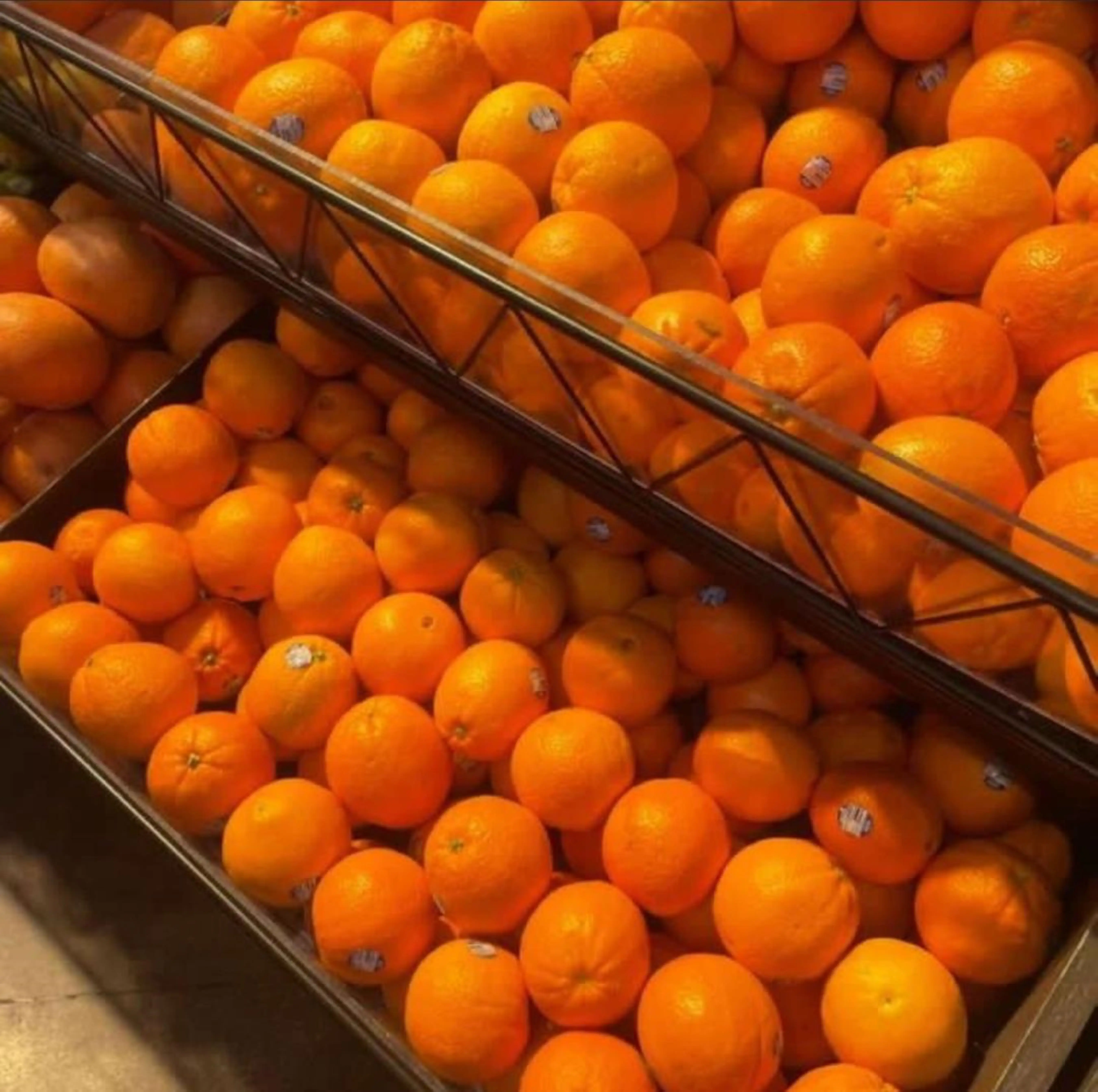 ORGANIC FRESH SWEET ORANGES AVAILABLE IN BULK