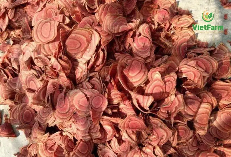 Высокое качество sillettia Spatholobi Ji Xue Teng (Spatholobus Stem Caulis Spatholobi) от производителей