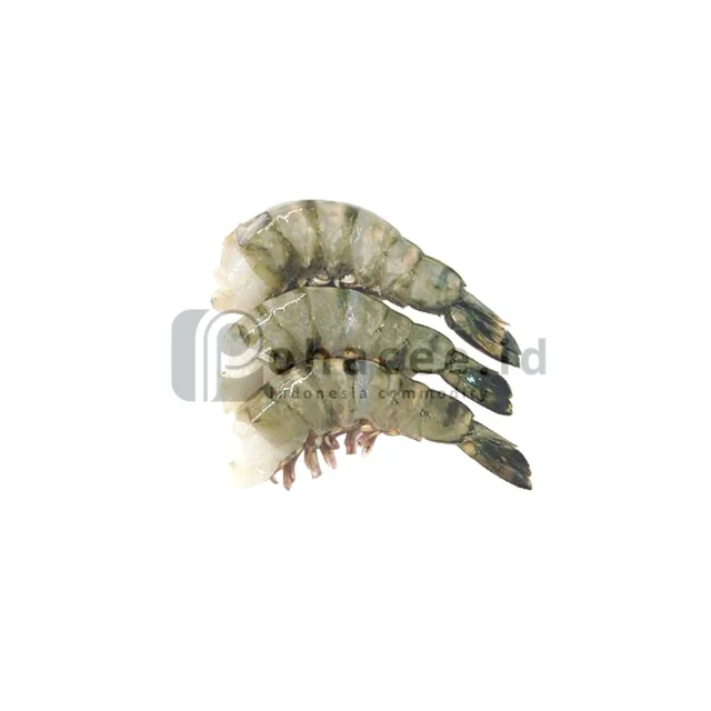 For Sale Premium Quality Fresh Black Tiger Shrimp Indonesia Head On Shell On