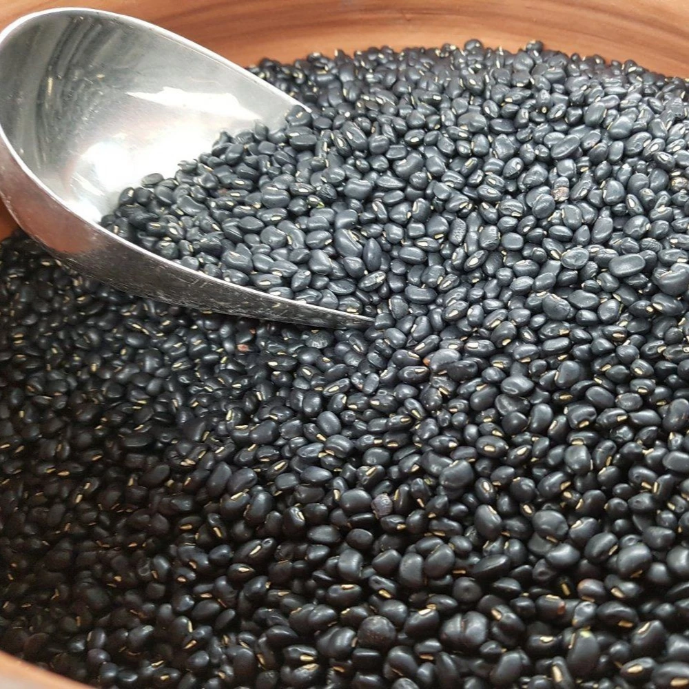 Low Priced New Crop Black Beans Vietnam Supplier Wholesales High Quality Raw Vietnam Black Bean
