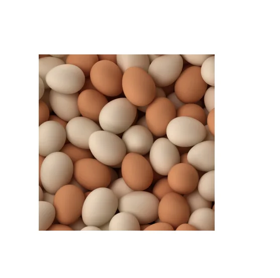 Fresh Organic Poultry Chicken Brown Table Eggs | Halal Top Quality Packed Eggs
