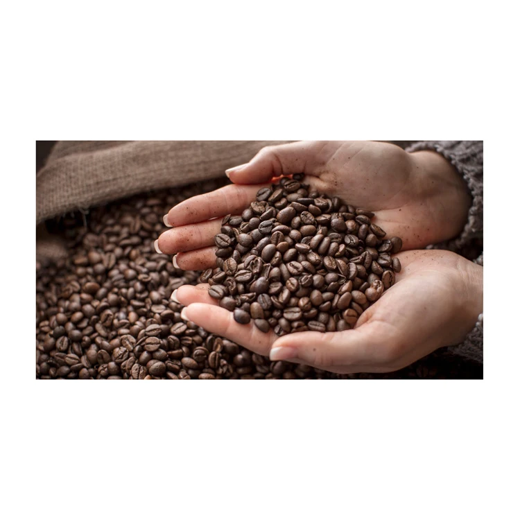 Bulk Black Arabic ROASTED COFFEE BEANS