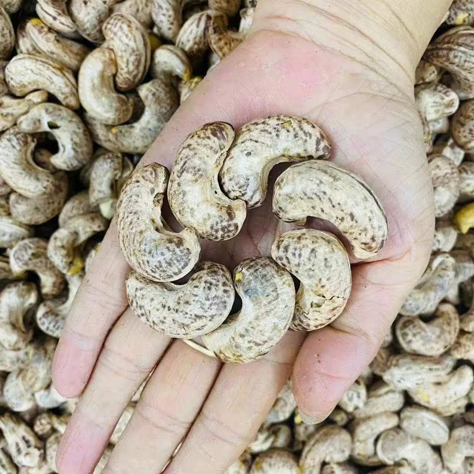 Roasted Unsalted Salted Cashews Nuts Cashews Kernels Dried Organic Cashews Original Taste For Sale