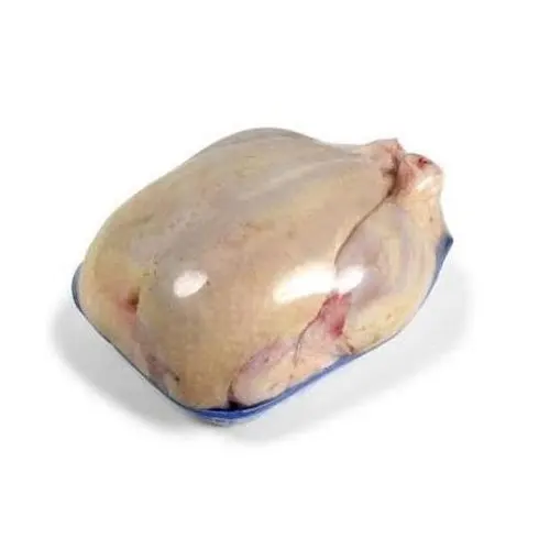 BULK HALAL WHOLE FROZEN CHICKEN FROM TURKEY