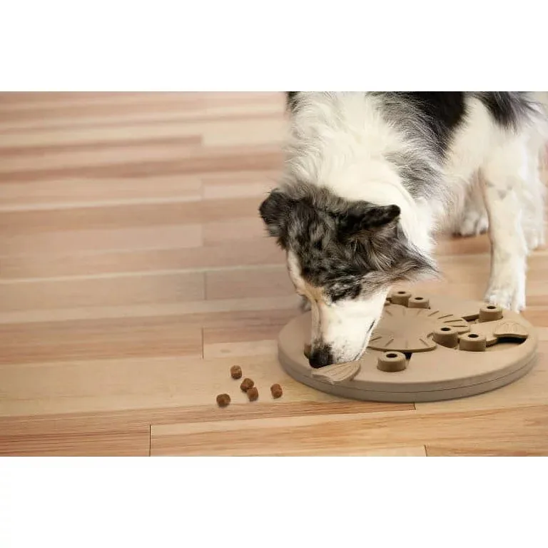 Twister Dog Puzzle Interactive Treat Puzzle Dog Enrichment Dog Toy