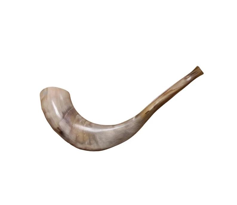 Polished Kudu Agate Shofar with Great Sound Traditional Religious Style Ram Horn Trumpet Music Style
