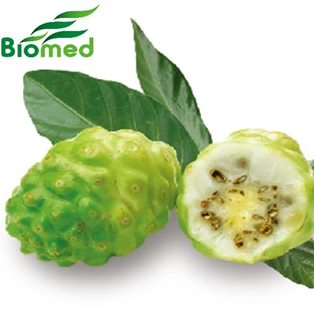 Organic NONI Juice material fermented 5 times concentrated noni fruit powder