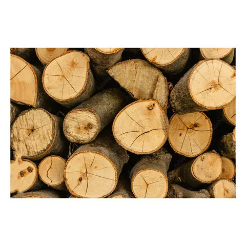 Buy Top Quality Kiln Dried Firewood, Oak and Beech Firewood Logs for Sale