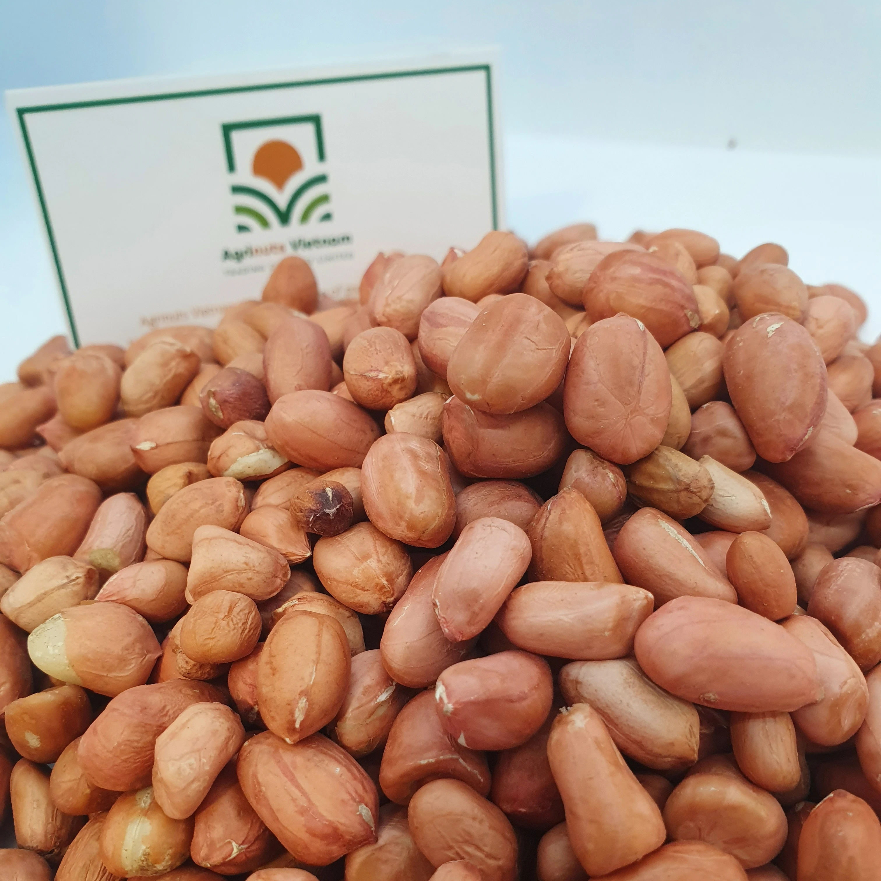 Peanut Grade Number 1 Size 6mm Product With Origin Vietnam Best Price For Sale High Quality From Manufacture Bryan 84 915600321