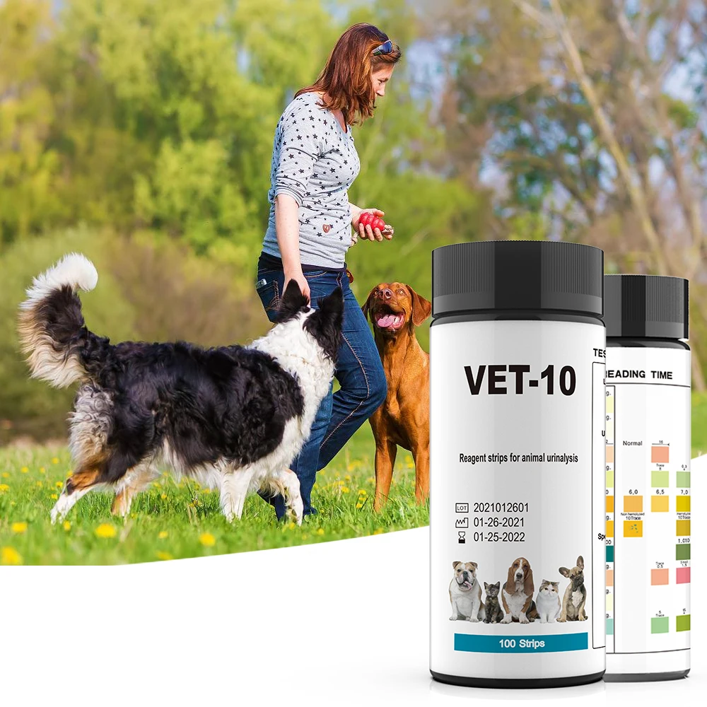 Accurate Pet Urine Monitoring Testing Kit Helps Veterinarian Tests Strips for Blood, Glucose, pH, UTI, Liver and Kidney Health.