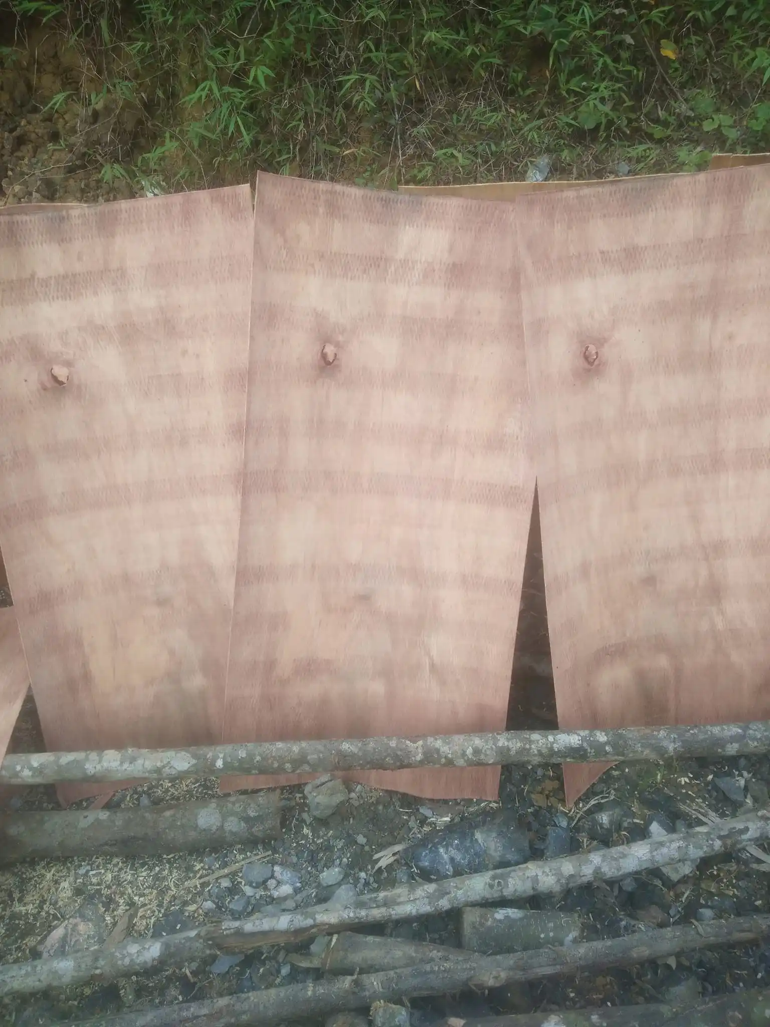 Wholesaler Acacia/eucalyptus/rubber Core Veneer A/B Quality  Best Price from Vietnam Plywood