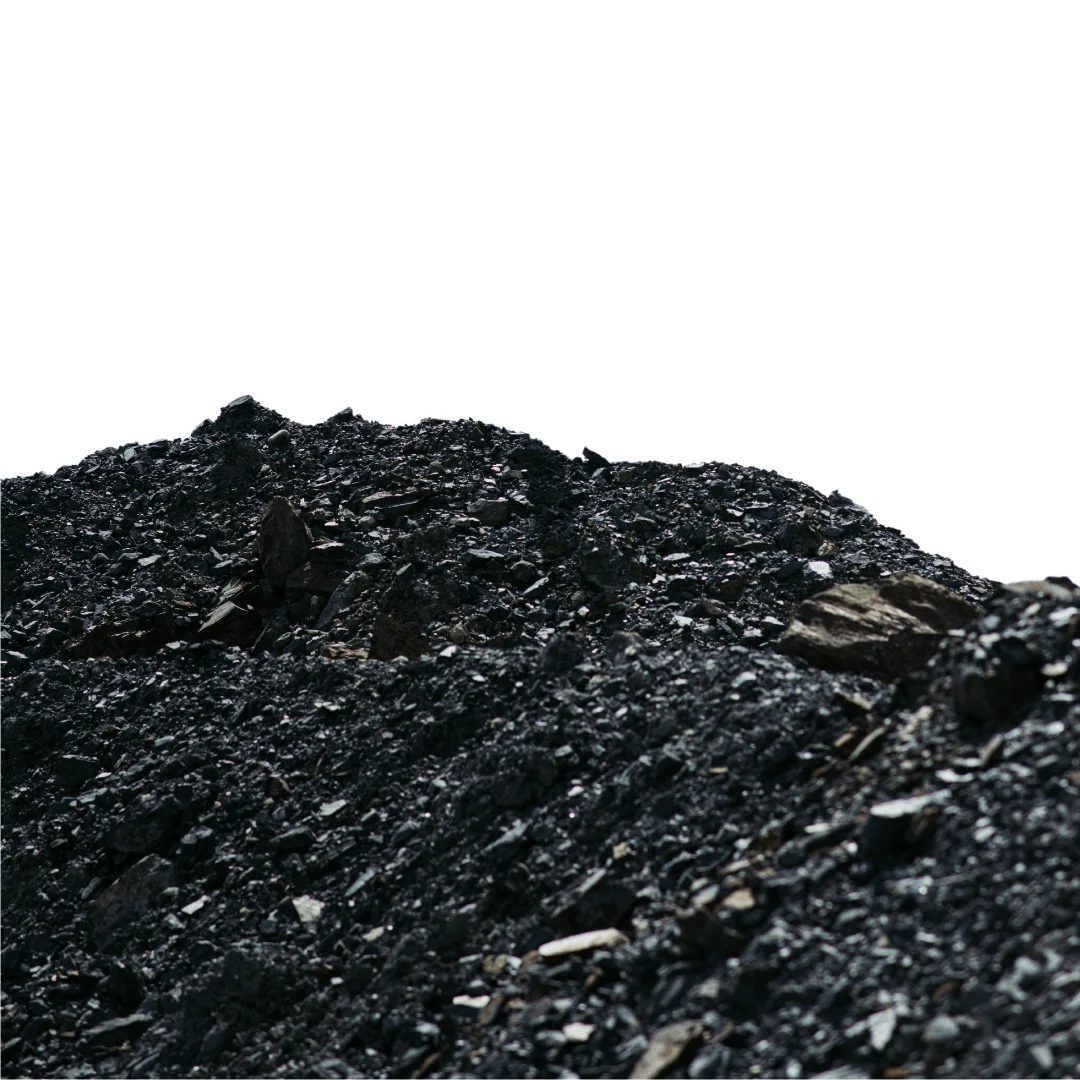 100% Pure Coal for Wholesale