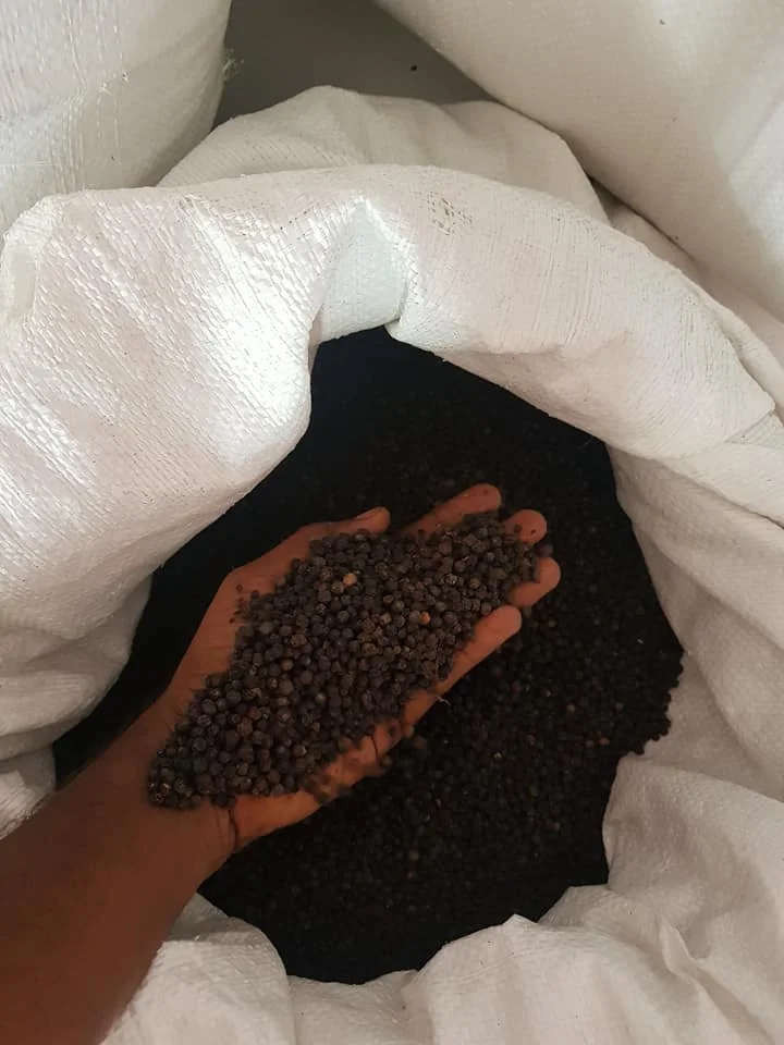 Wholesale Price Ground Dried Black Pepper For Cooking Organic Black Pepper