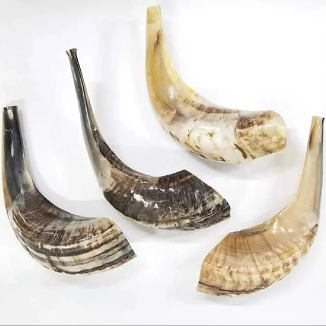 Устойчивые источники Kadu Shofar натуральные бараньи рога ручной работы в стиле животных для домашнего декора полированные декоративные подарки